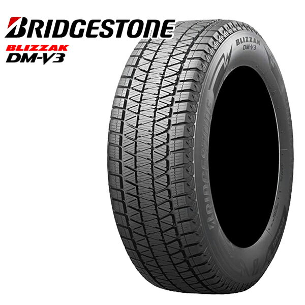 225/70R16 2022年製 BRIDGESTONE ブリヂストン ブリザック DMV3 16インチ 新品 スタッドレスタイヤ 2本セット