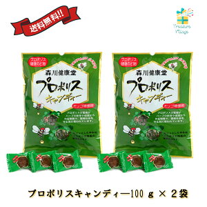 プロポリスキャンディー プロポリスのど飴 100g(約25粒)×2袋セット 送料無料 翌営業日出荷
