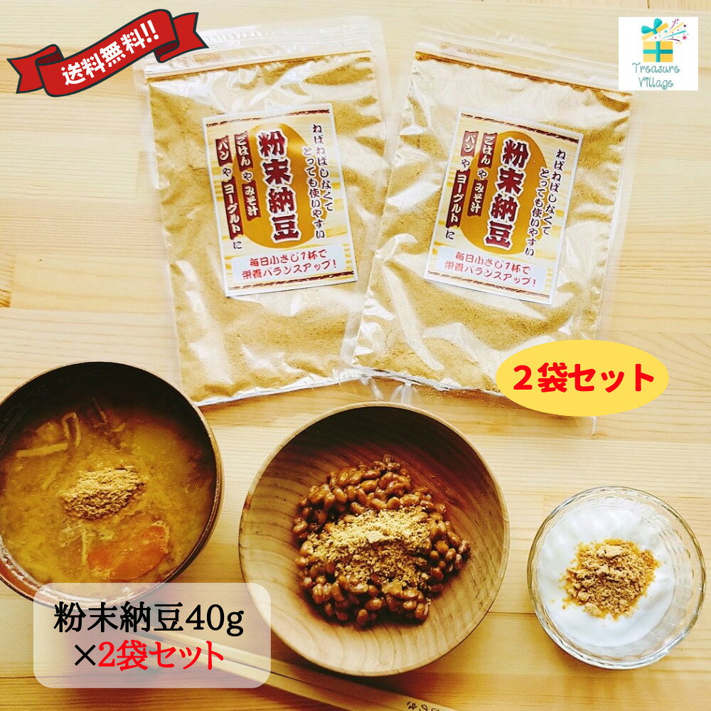 粉末納豆 信州物産 粉 フリーズドライ 乾燥 40g 2袋セット 計80g 送料無料 翌営業日出荷
