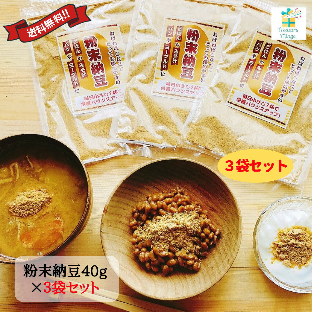 粉末納豆 信州物産 粉 フリーズドライ 乾燥 40g 3袋セット 計120g 送料無料 翌営業日出荷