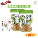 黄金鶏皮唐揚げ ゆずすこ味 45g 2袋セット 九州丸一 送料無料 翌営業日出荷