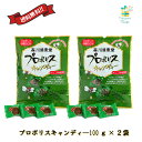 プロポリスキャンディー プロポリスのど飴 100g(約25粒)×2袋セット 送料無料 翌営業日出荷