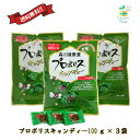 プロポリスキャンディー プロポリスのど飴 100g(約25粒)×3袋セット 送料無料 翌営業日出荷
