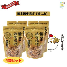 黄金鶏皮唐揚げ 旨塩 旨しお 九州の塩 50g 4袋セット 九州丸一 送料無料 翌営業日出荷