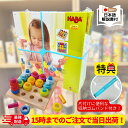 【最強配送】(メーカー正規品)【収納ゴムバンド特典付き】【15時までのご注文で当日出荷】正規品 HABA カラーリングのペグ遊び HA2202 知育玩具 木製 ...