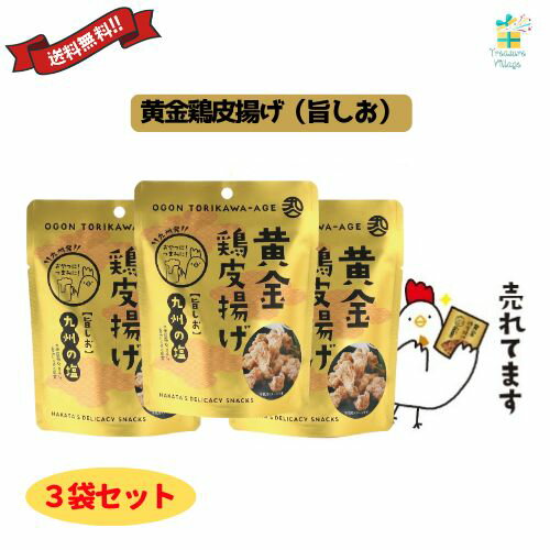 黄金鶏皮唐揚げ 旨塩 旨しお 九州の塩 40g 3袋セット 九州丸一 送料無料 翌営業日出荷