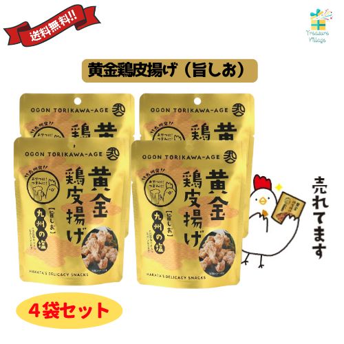 黄金鶏皮唐揚げ 旨塩 旨しお 九州の塩 40g 4袋セット 九州丸一 送料無料 翌営業日出荷