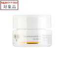 ドクター ハウシュカ リップクリーム 4.5ml | スーパーSALE スーパーセール 値下げ 最安値に挑戦 Dr.Hauschka リップケア