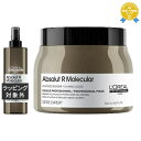送料無料 ロレアル セリエ エクスパート アブソルート R モレキュラープレトリートメント+ マスク 190g+500g | L'OREAL プレシャンプートリートメント