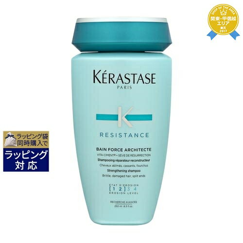 ケラスターゼ レジスタンス RE バン ド フォルス アーキテクト 250ml | 最安値に挑戦 KERASTASE シャンプー