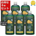 送料無料 ロゴナ ボリュームシャンプー・ビール&はちみつ お得な6個セット 500ml(ビッグボトル) x 6 | 日本未発売 お得な大容量サイズ LOGONA シャンプー