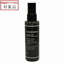 送料無料 ケアネス テラケアスカルプケアミスト 100mL | スーパーSALE スーパーセール 値下げ CARENESS ヘアエッセンス