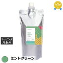 送料無料 パイモア クロマト カラートリートメント ミントグリーン 500g | piemore コンディショナー