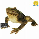 送料無料 ハンサ ゴライアスガエル W35×H17×D32cm | HANSA おもちゃ