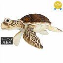 送料無料 ハンサ ウミガメ W63×H19×D56cm | HANSA おもちゃ