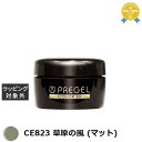 プリジェル プリジェル カラーEX CE823 草原の風 (マット) | 最安値に挑戦 PREGEL ネイル用品