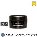 プリジェル プリジェル カラーEX CE815 ヘヴンリーブルー(マット) | 最安値に挑戦 PREGEL ネイル用品