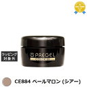 プリジェル プリジェル カラーEX CE884 ペールマロン (シアー) | 最安値に挑戦 PREGEL ネイル用品