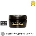 プリジェル プリジェル カラーEX CE885 ペールグレイ (シアー) | 最安値に挑戦 PREGEL ネイル用品