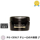プリジェル プリジェル カラーEX PG-CE917 チェーロの大聖堂 (マット) | 最安値に挑戦 PREGEL ネイル用品