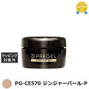 プリジェル プリジェル カラーEX PG-CE570 ジンジャーパール-P (パール) | 最安値に挑戦 PREGEL ネイル用品