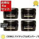 送料無料 プリジェル プリジェル カラーEX CE862 パイナップルボンバー /マット 4セット | PREGEL ネイル用品