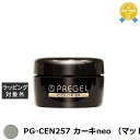 プリジェル プリジェル カラーEX PG-CEN257 カーキneo (マット) | 最安値に挑戦 PREGEL ネイル用品