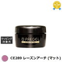 プリジェル プリジェル カラーEX CE289 レーズンアーチ (マット) | 最安値に挑戦 PREGEL ネイル用品