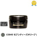 プリジェル プリジェル カラーEX CE845 セブンティーズオリーブ (マット) | 最安値に挑戦 PREGEL ネイル用品
