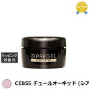 プリジェル プリジェル カラーEX CE855 チュールオーキッド (シアー) | 最安値に挑戦 PREGEL ネイル用品