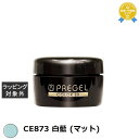 プリジェル プリジェル カラーEX CE873 白藍 (マット) | 最安値に挑戦 PREGEL ネイル用品
