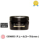 プリジェル プリジェル カラーEX CEN853 チュールコーラルneo (シアー) | 最安値に挑戦 PREGEL ネイル用品