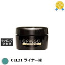 プリジェル プリジェル カラーEX CEL21 ライナー緑 | 最安値に挑戦 PREGEL ネイル用品