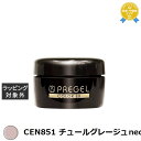 プリジェル プリジェル カラーEX CEN851 チュールグレージュneo (シアー) | 最安値に挑戦 PREGEL ネイル用品