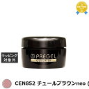 プリジェル プリジェル カラーEX CEN852 チュールブラウンneo (シアー) | 最安値に挑戦 PREGEL ネイル用品