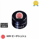 プリジェル プリムドール 609 ピーチシュシュ 3g | 最安値に挑戦 PREGEL ネイル用品