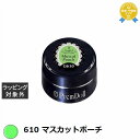 プリジェル プリムドール 610 マスカットポーチ 3g | 最安値に挑戦 PREGEL ネイル用品