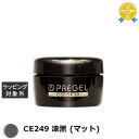 プリジェル プリジェル カラーEX CE249 漆黒 (マット) | 最安値に挑戦 PREGEL ネイル用品