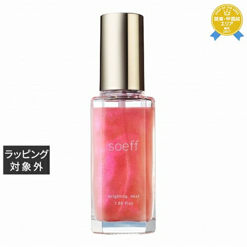 ソフプロフェッショナル ブライティングミスト M　 55ml | 最安値に挑戦 soeff ヘアスプレー・ヘアミスト