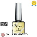 ココイスト サテンマグネット SM-17 キャメルサテン 10g | 最安値に挑戦 KOKOIST ネイル用品