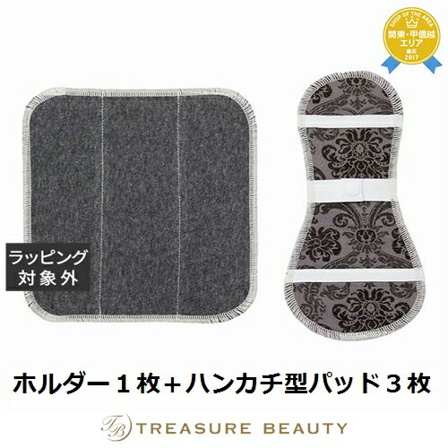 【最大4500円クーポン】ビーナチュラル 布ナプキンセット ブラウン系 ホルダー1枚+ハンカチ型パッド3枚 | 最安値に挑戦 be Natural デリケートゾ...