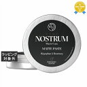 ノストラム ホモ マットペースト H&R 100ml | 最安値に挑戦 NOSTRUM ヘアワックス・クリーム