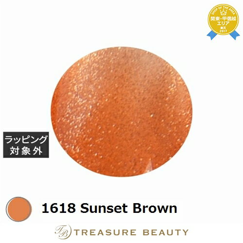 【最大4500円クーポン】アイスジェル A BLACK ステラスターギャラクシージェル 1618 Sunset Brown 3g | 最安値に挑戦 ICEGEL...