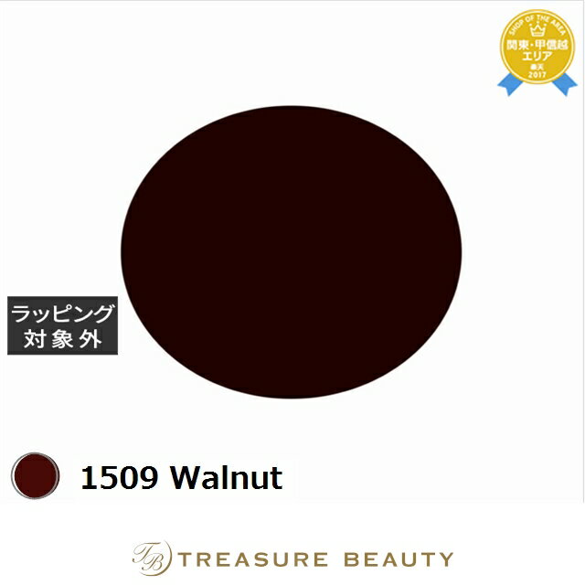 【最大4500円クーポン】アイスジェル A BLACK BEKKOジェル 1509 Walnut 3g | 最安値に挑戦 ICEGEL ネイル用品