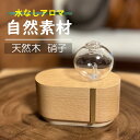 アロマディフューザー 楽天1位 ＼水を使わない 吹きガラス アロマディフューザー／■USB ネブライザー■おしゃれな 天然木■アロマ ミニ 卓上 小型 インテリア トラベルポーチセット コンパクト ミニ 水なし (PAM01)