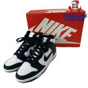 NIKE ナイキ ダンク ハイ レトロ DD1399-105 サイズ27.5cm DUNK HI RETRO 【101053692001】