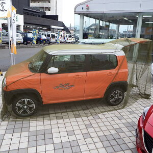 ★即納★Woodland(ウッドランド)カーモスキート《軽・コンパクトカー用》【カーサイドタープ】【スクリーンタープ】【蚊帳】【テント】【タープ】【天体観測】【夜釣り】通販格安セール情報 楽天 通販