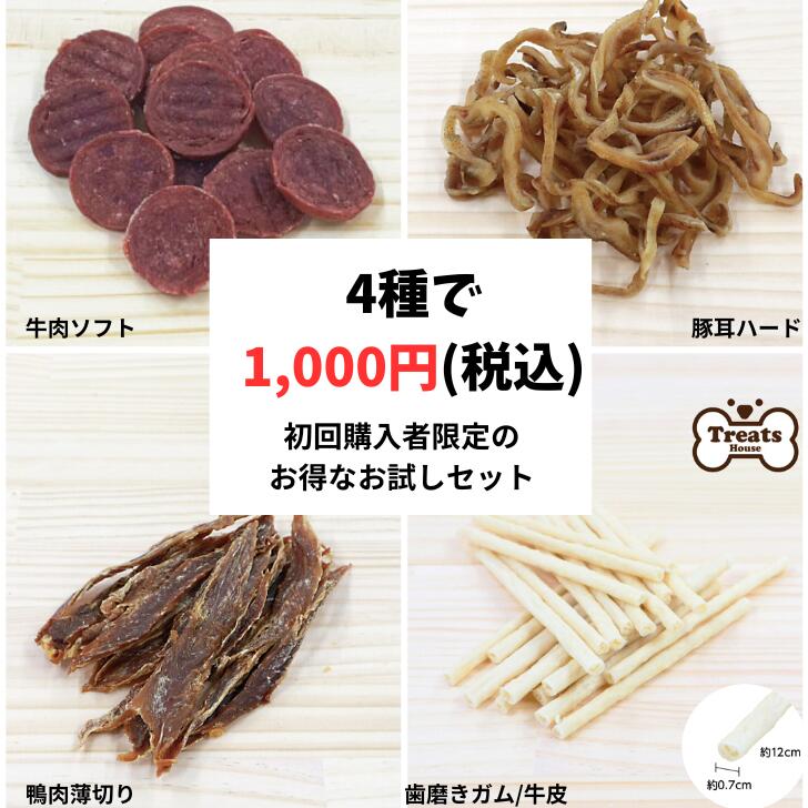 初回限定!! 【1000円ポッキリ送料込み】※購入はお1人様1回限り!　おやつ4種お得なお試しセット　歯磨きガムSS 10本/豚耳30g/鴨ささみ15g/牛肉チップソフト30g　トリーツハウス 犬用　犬　おやつ 歯磨きガム　ジャーキー