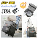 保冷バッグ 保温 トートバッグ ショッピングカート 漏れ防止 キャリーバッグ 防水 35L 折りたたみ トートバッグ エコバッグ ソフトクーラーボックス レジャー アウトドア ランチバッグ 大容量 ショッピングバッグ 旅行バッグ 軽量 買い物カート