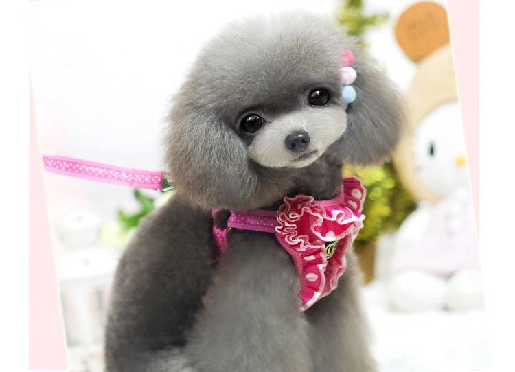 ペットハーネス レースベスト 小型犬中型犬猫用 メッシュ通気性 フリルフレアドッ...
